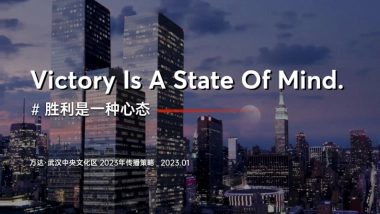 2023武汉万达中央文化区年度推广策划案