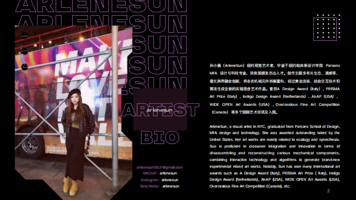 2023PORTFOLIO-Electric Jungle_第2页