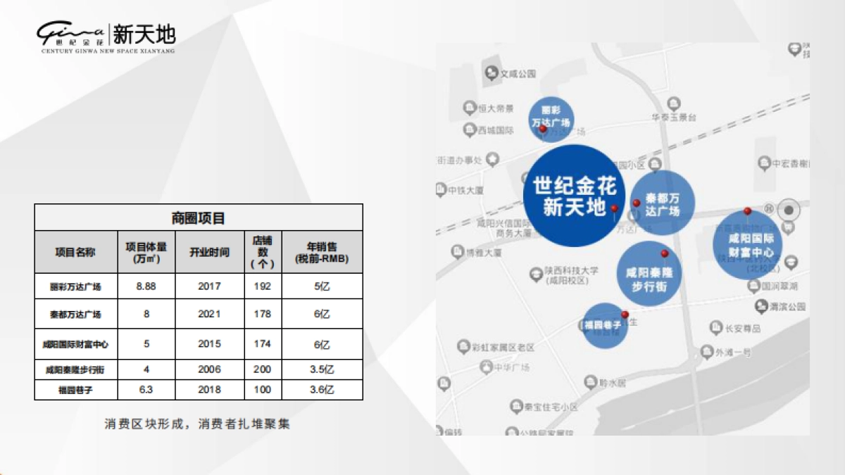 2023世纪金花新天地购物中心项目招商手册_第10页
