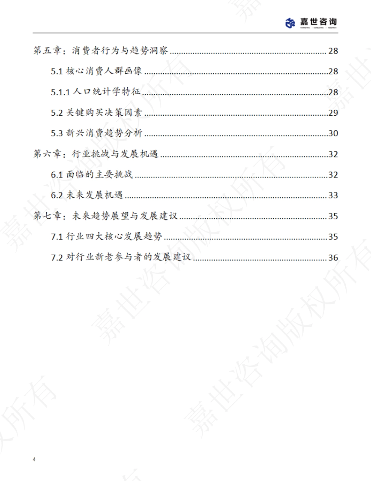 2025中国户外服饰市场分析报告_第4页