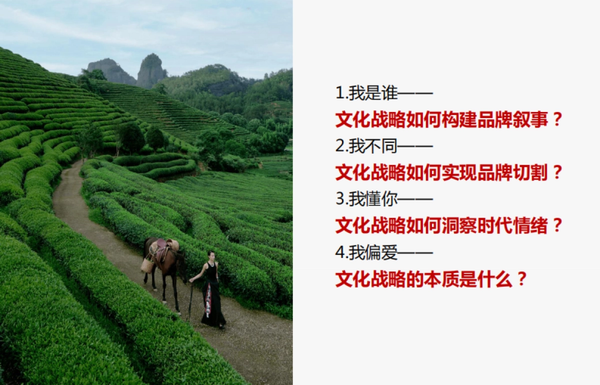2025年霸王茶姬文化战略复盘_第3页