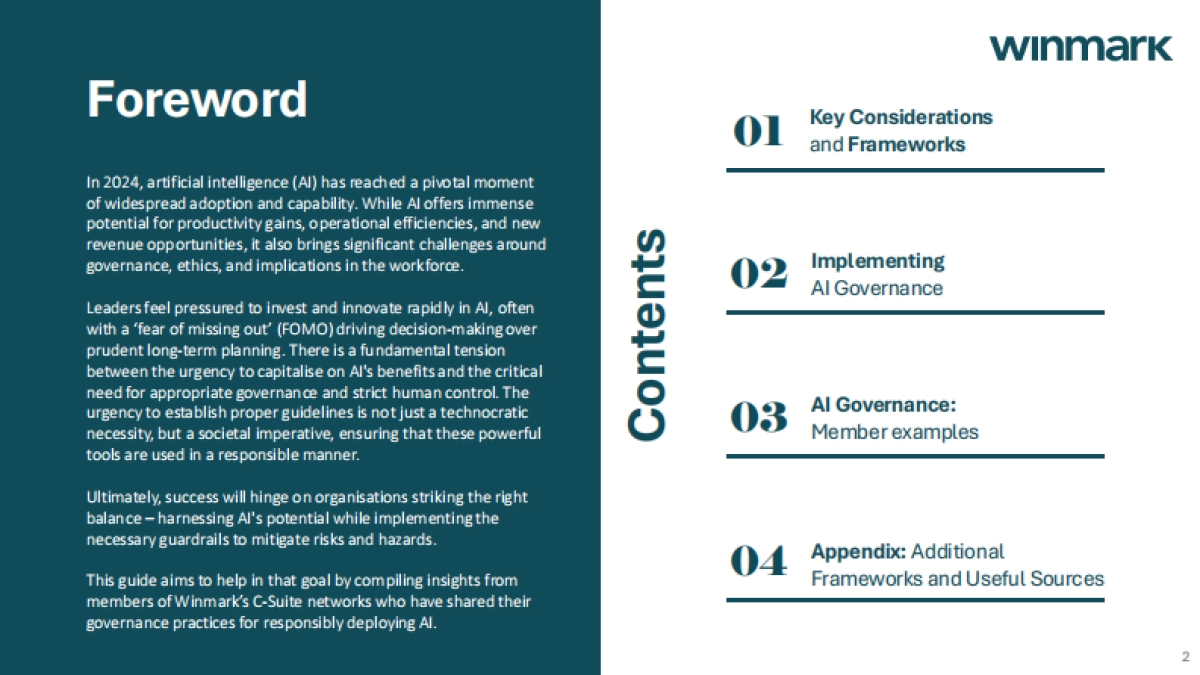 2024年人工智能（AI）治理指南：框架、最佳实践和政策（英文版）-WINMARK_第2页