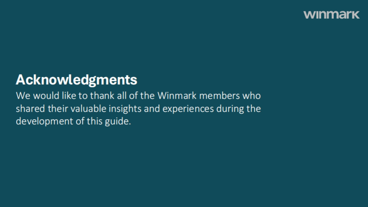 2024年人工智能（AI）治理指南：框架、最佳实践和政策（英文版）-WINMARK_第3页