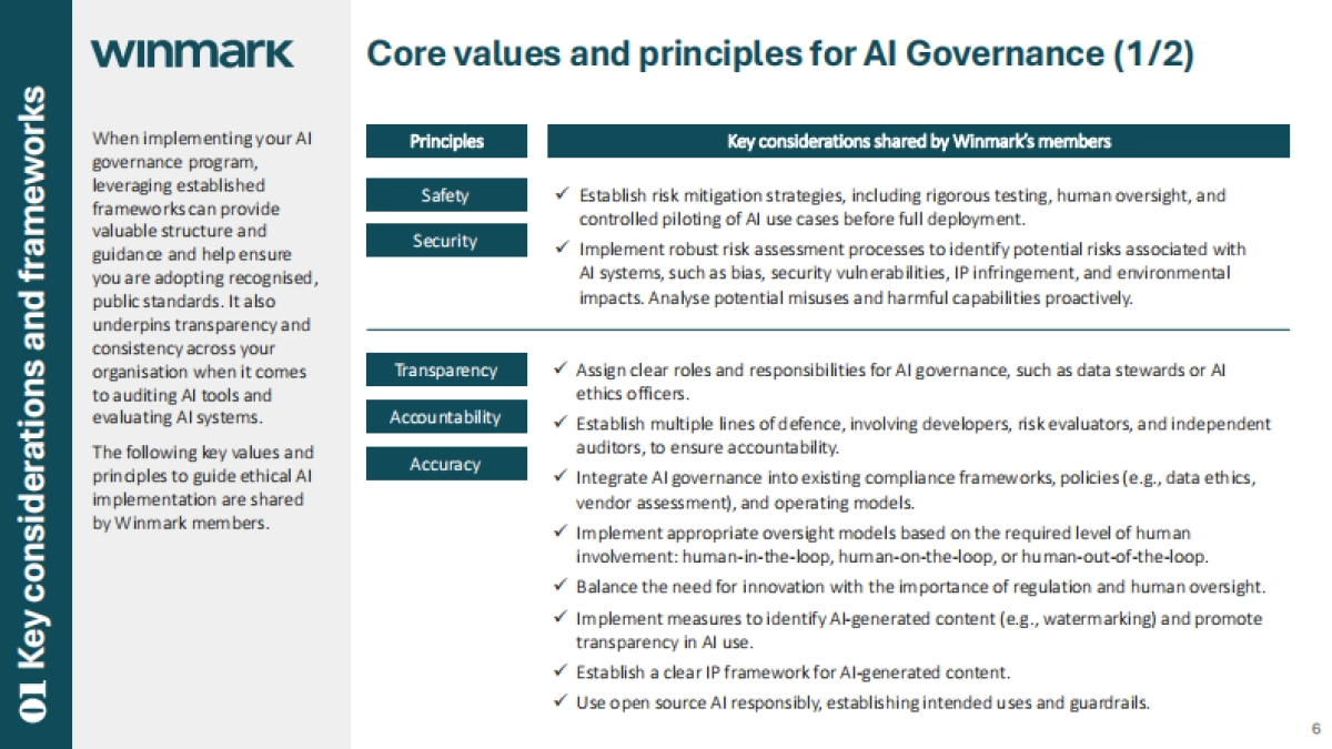 2024年人工智能（AI）治理指南：框架、最佳实践和政策（英文版）-WINMARK_第6页