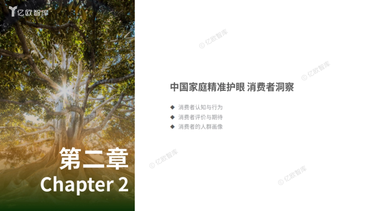 2024中国家庭精准护眼营养白皮书_第10页