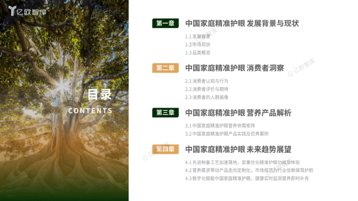 2024中国家庭精准护眼营养白皮书_第2页