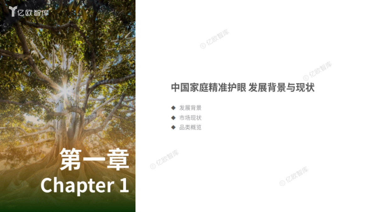 2024中国家庭精准护眼营养白皮书_第3页