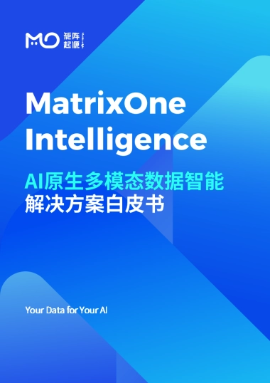 2025AI原生多模态数据智能解决方案白皮书-矩阵起源