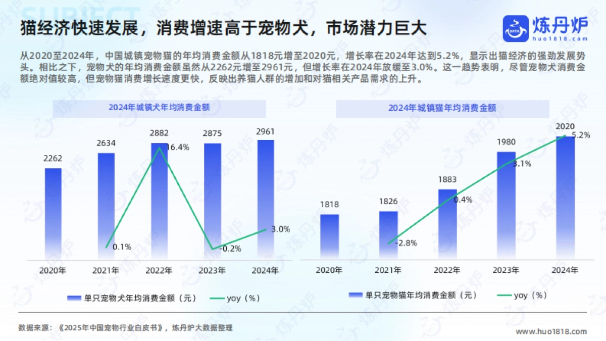 2025年“猫经济”消费趋势洞察-炼丹炉 _第6页