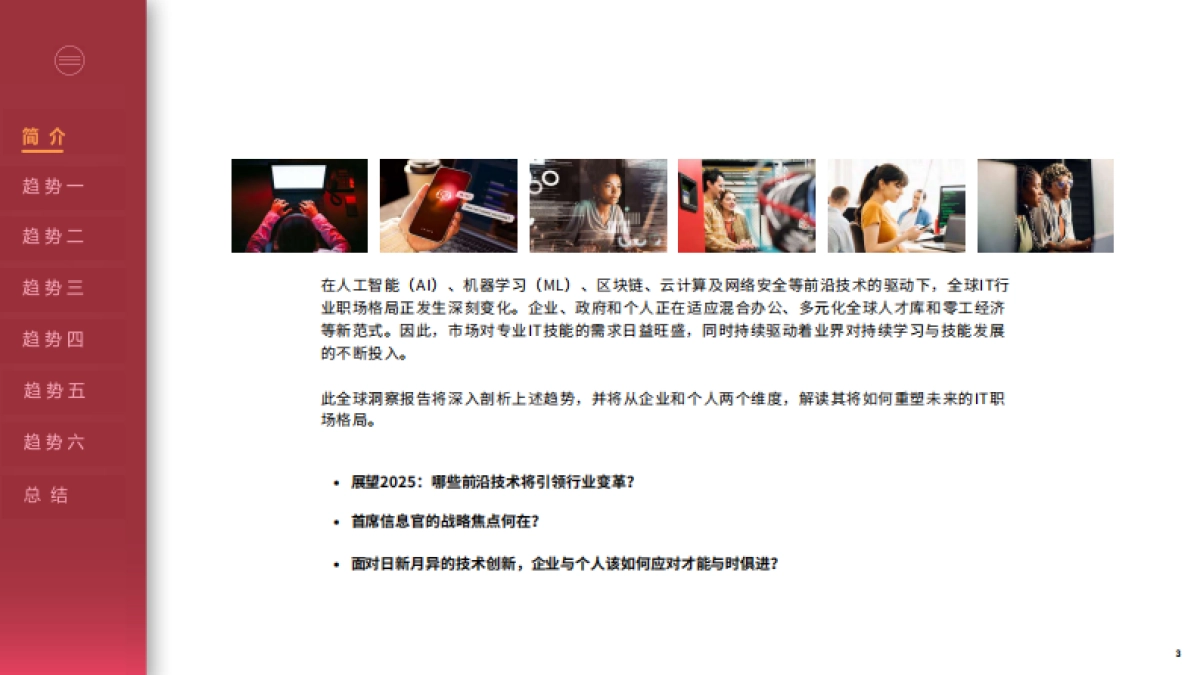 2025年IT行业职场展望_第3页