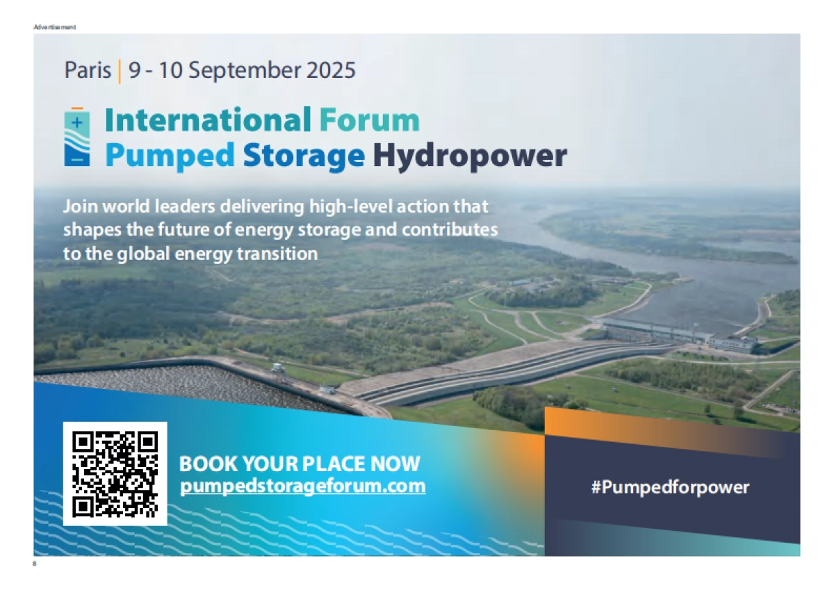 2025年世界水电展望报告（英文版）-国际水电协会（IHA）_第8页