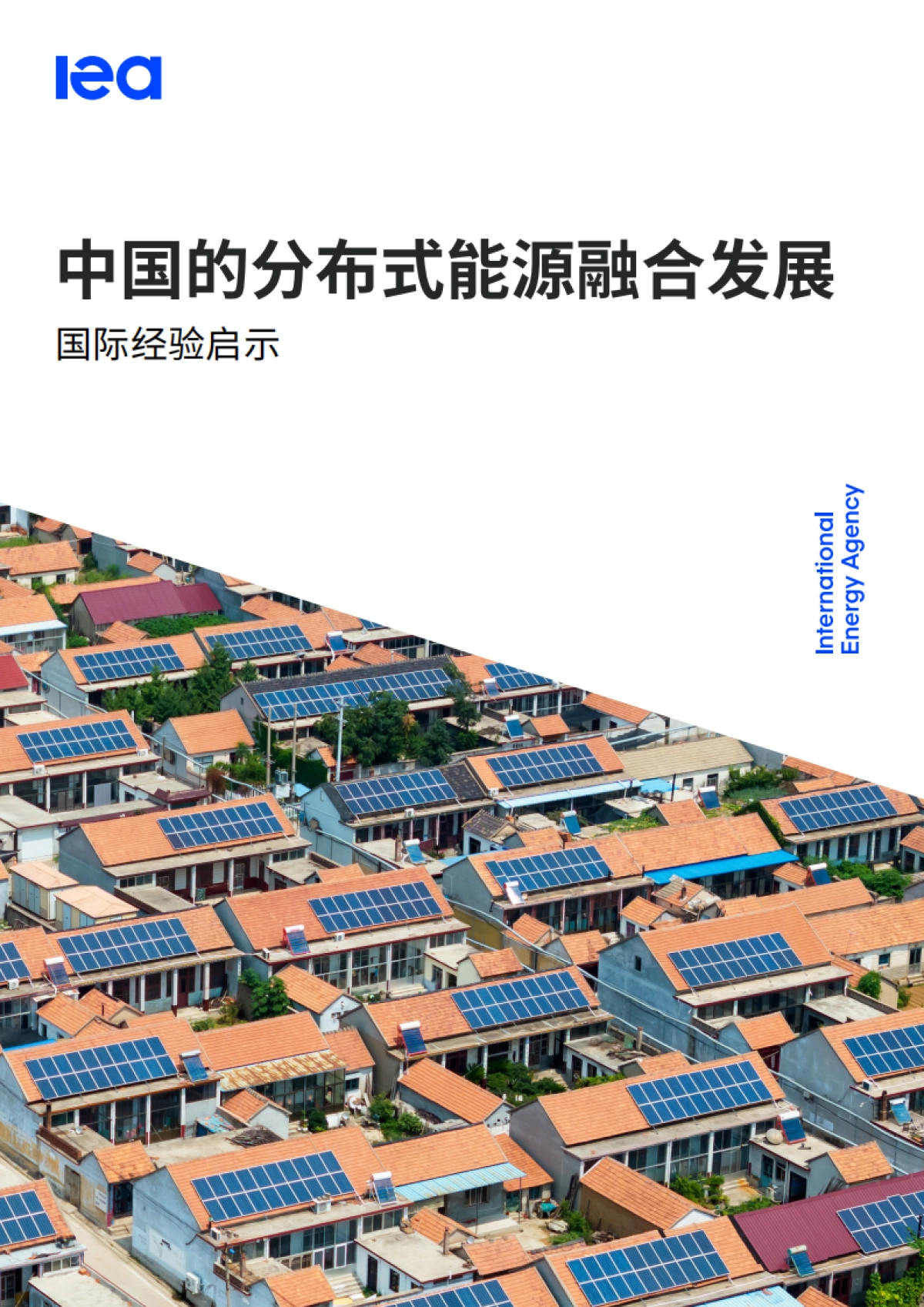 2025年中国的分布式能源融合发展：国际经验启示报告-IEA国际能源署_第1页