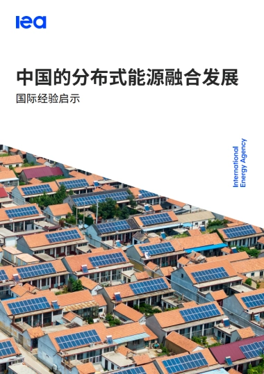 2025年中国的分布式能源融合发展：国际经验启示报告-IEA国际能源署