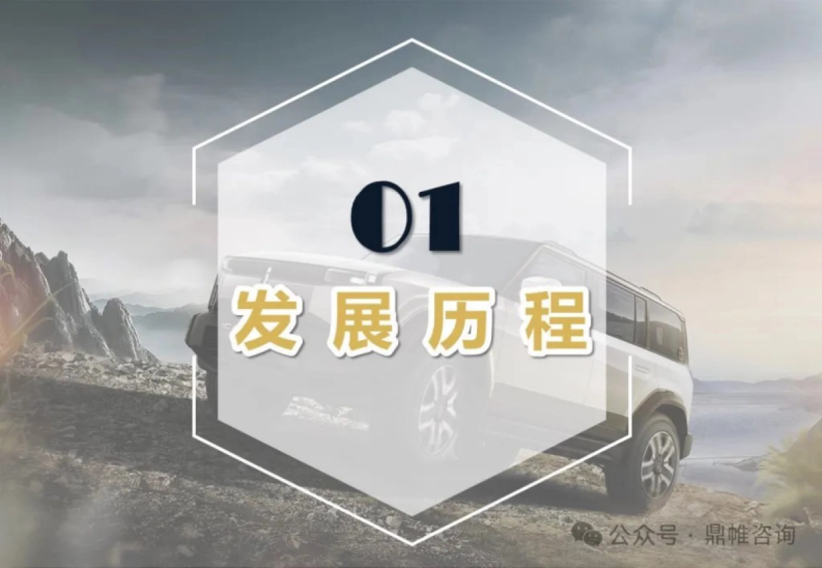 鼎帷咨询-奇瑞汽车发展战略研究报告-56页_第5页