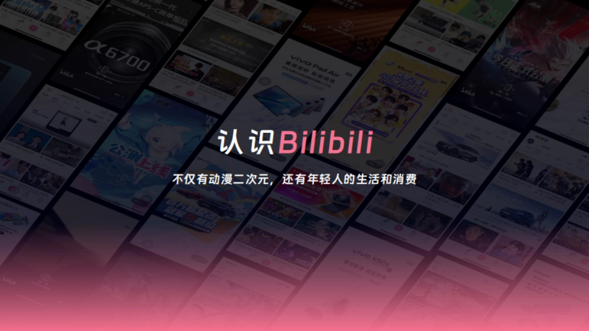 B站大健康-营销通案-效果_第2页