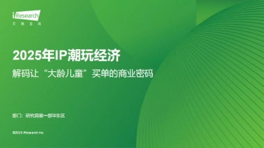 2025年IP潮玩经济研究报告