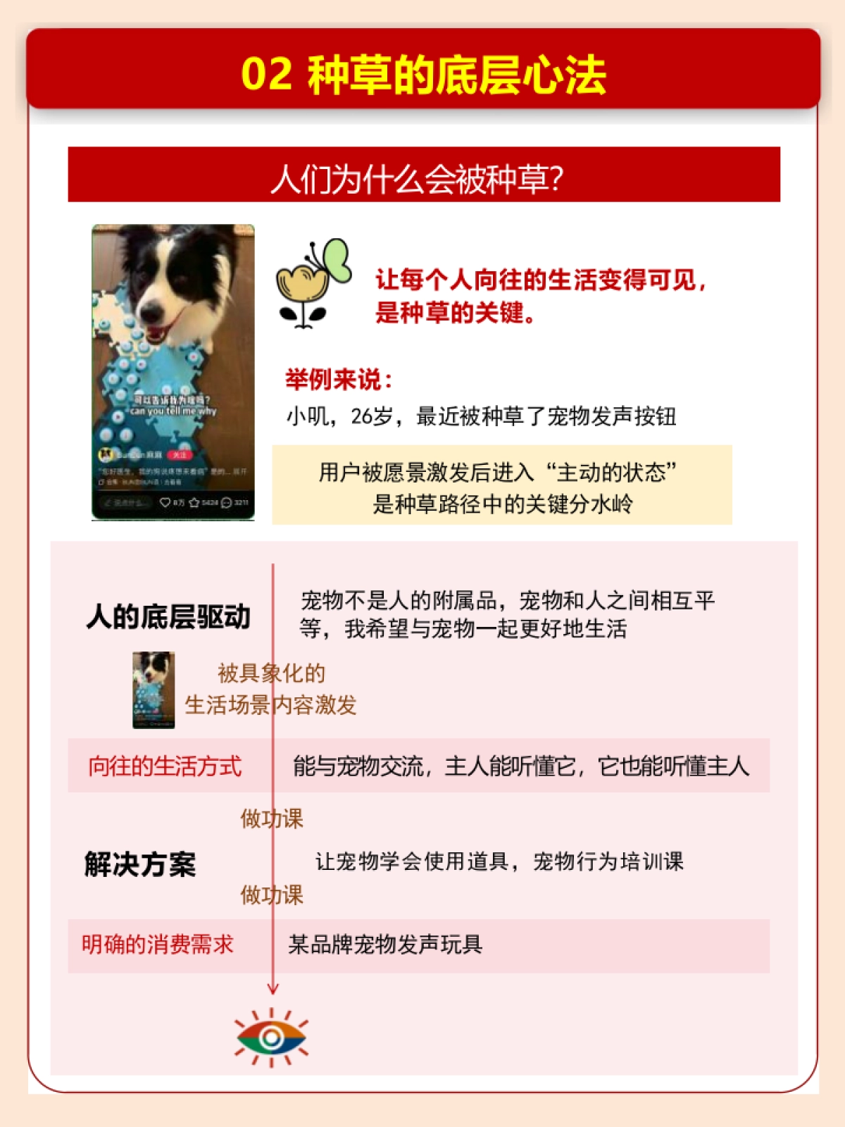 《种草》2025年营销实验室完整解读版_第9页