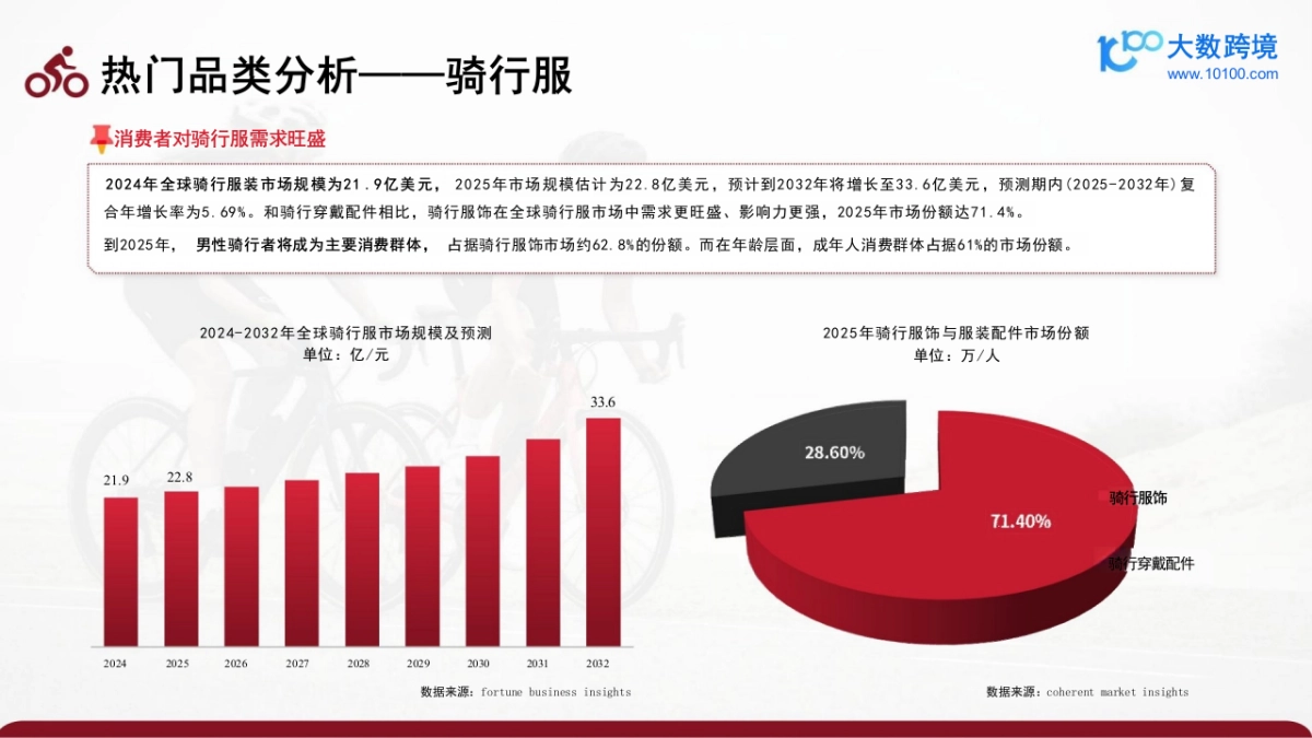2025骑行配件出海研究报告_第10页