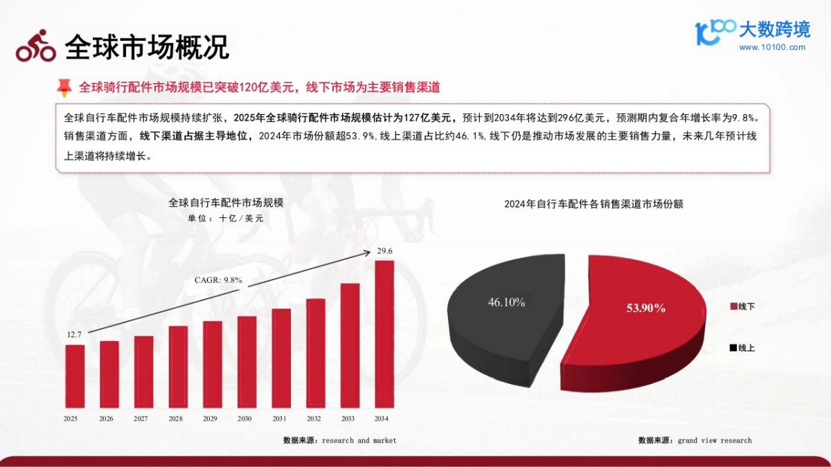 2025骑行配件出海研究报告_第6页