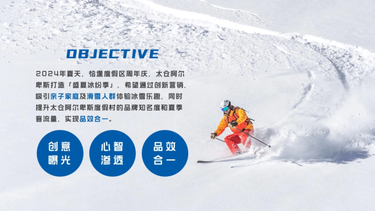 太仓阿尔卑斯跨越虚实反季节营销_第3页