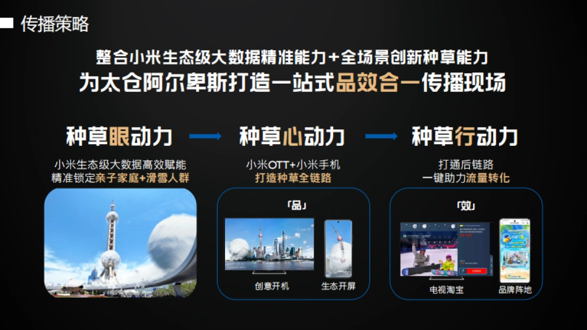 太仓阿尔卑斯跨越虚实反季节营销_第8页