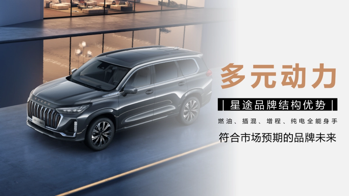 2024-2025星途汽车服务号&视频号及双APP运营计划1_第10页