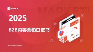 2025年B2B内容营销白皮书