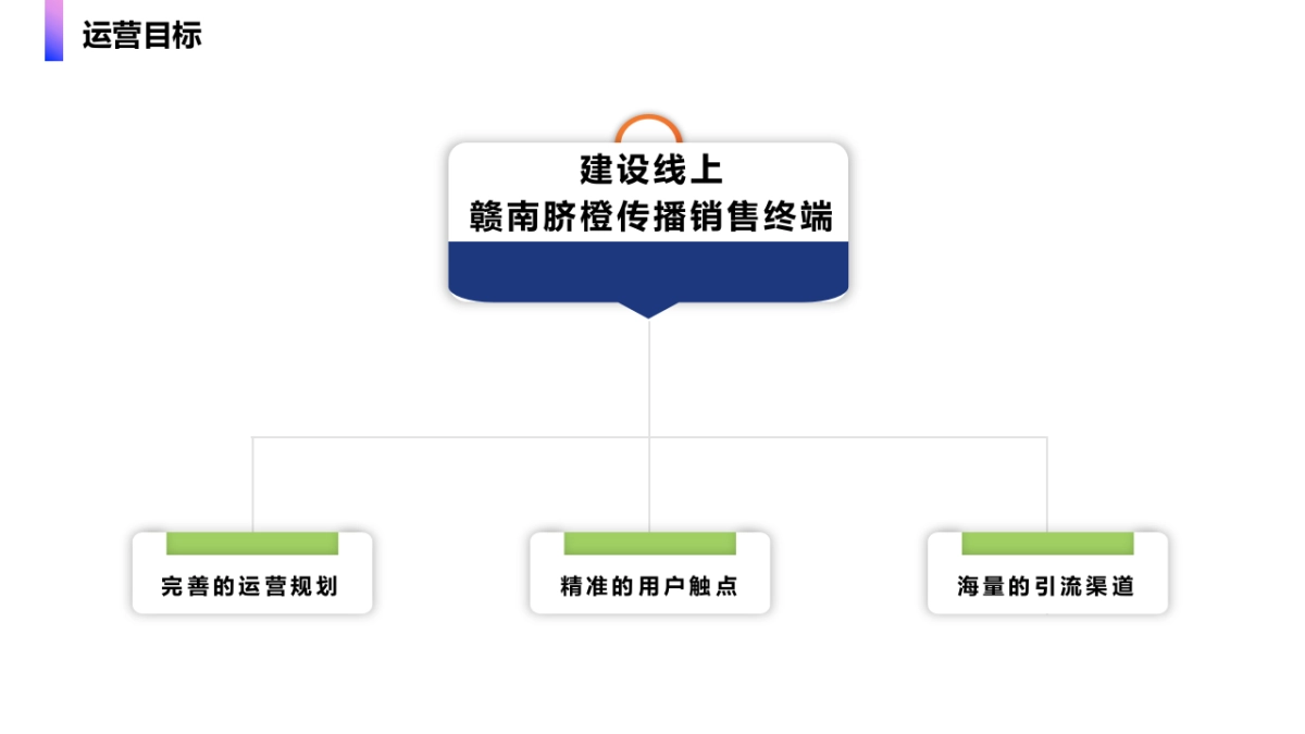 赣南脐橙节直播间运营策划方案_第4页