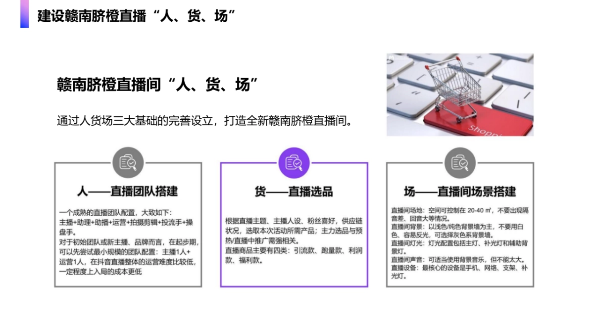 赣南脐橙节直播间运营策划方案_第5页