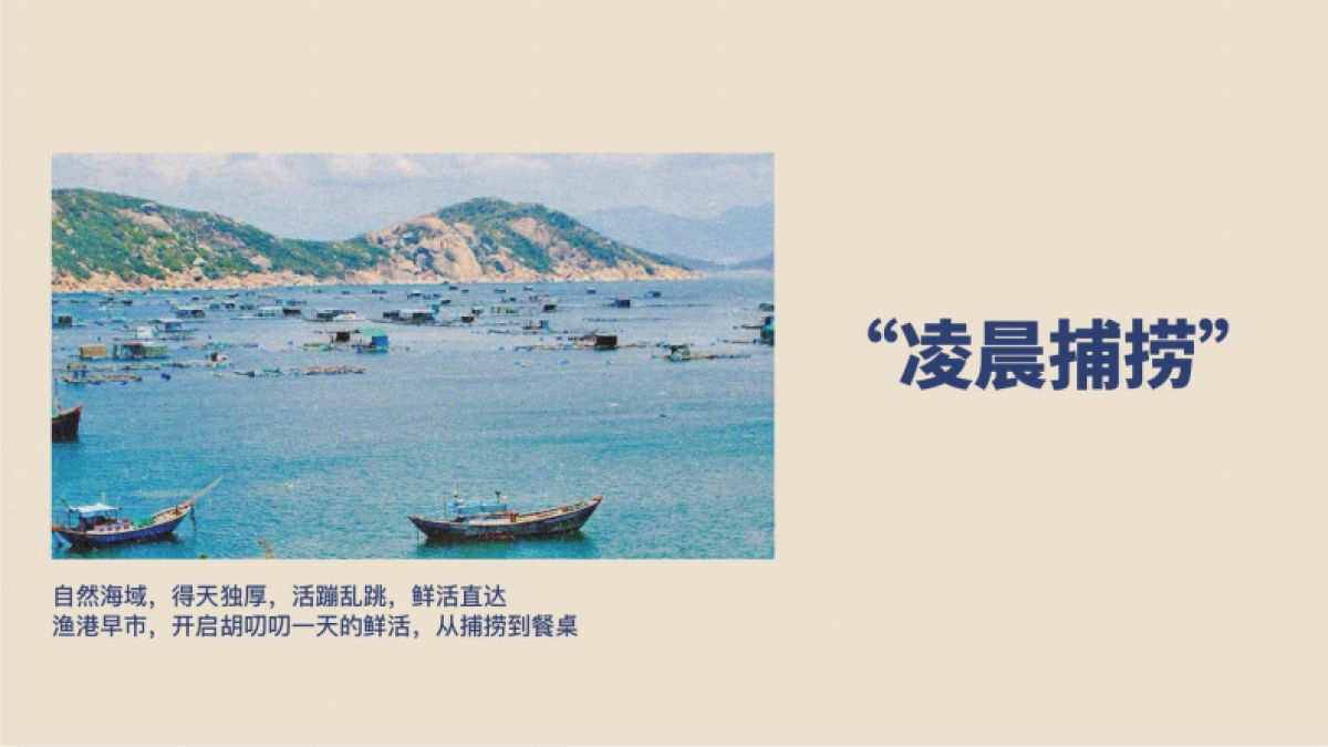 胡叨叨黄油砂锅焗海鲜-品牌手册_第10页