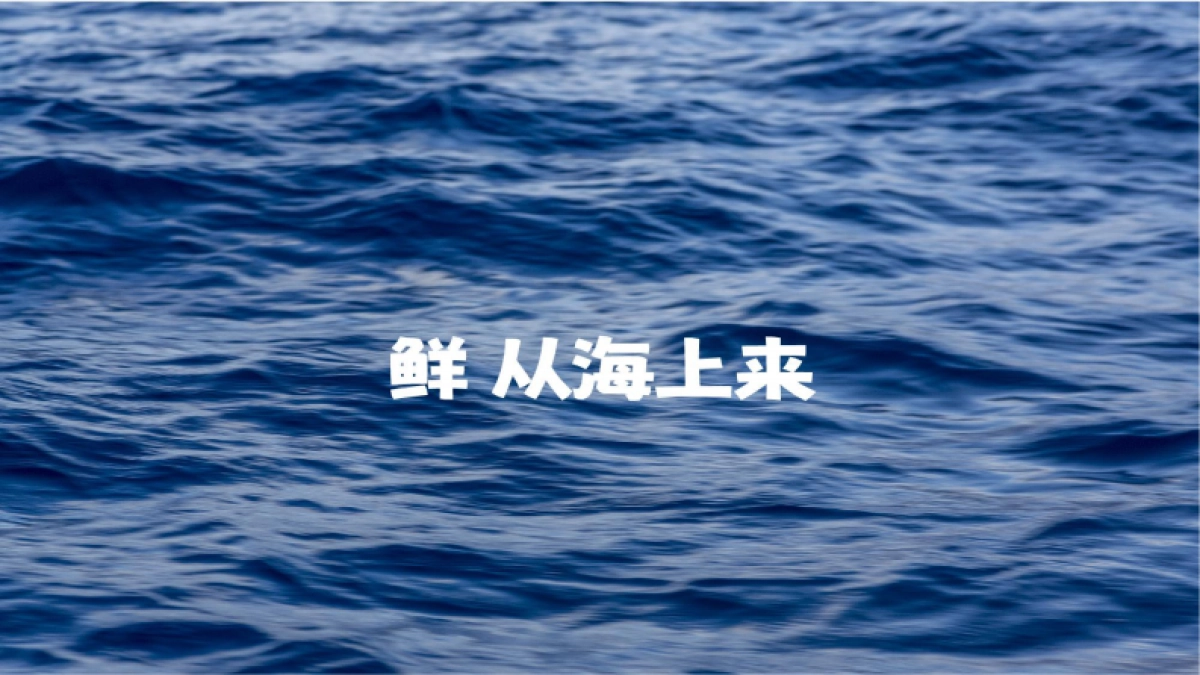 胡叨叨黄油砂锅焗海鲜-品牌手册_第2页