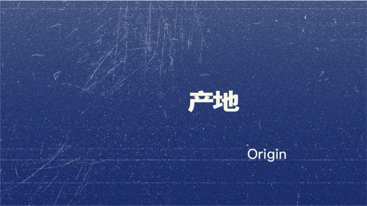 胡叨叨黄油砂锅焗海鲜-品牌手册_第4页