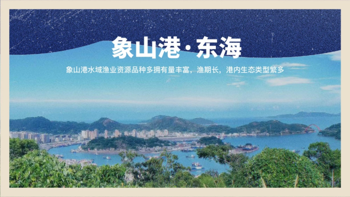 胡叨叨黄油砂锅焗海鲜-品牌手册_第5页