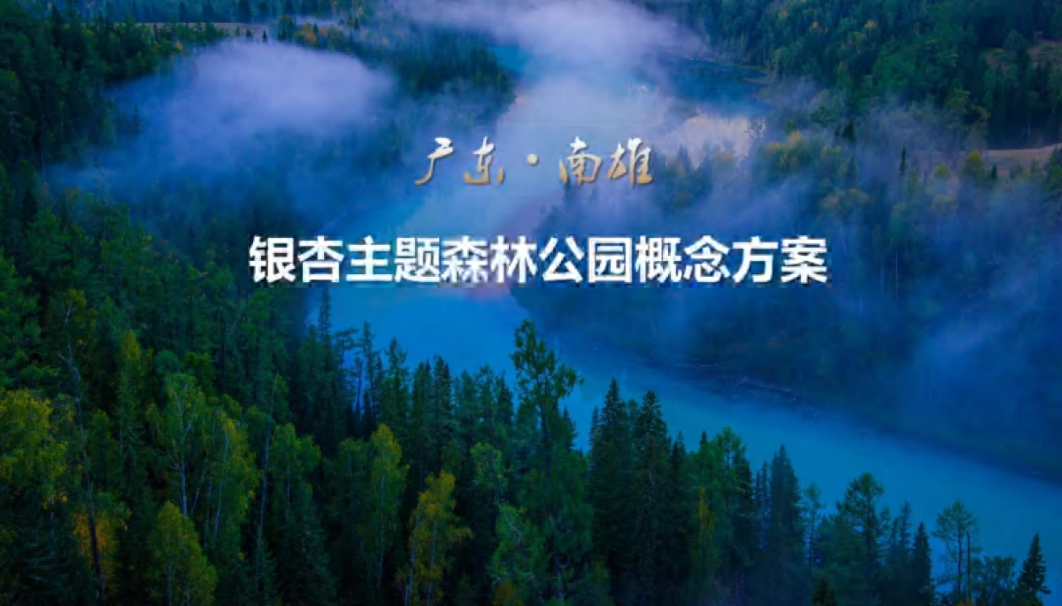 2024韶关南雄银杏主题森林公园总体设计概念规划方案_第1页