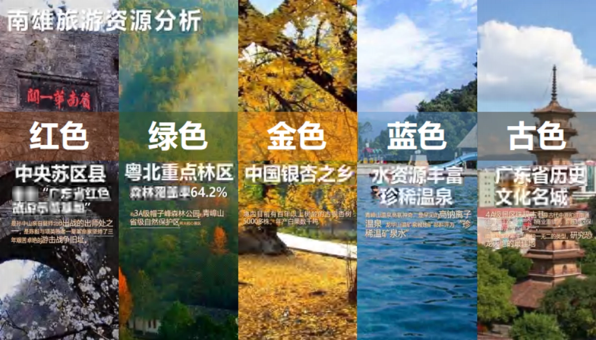 2024韶关南雄银杏主题森林公园总体设计概念规划方案_第6页