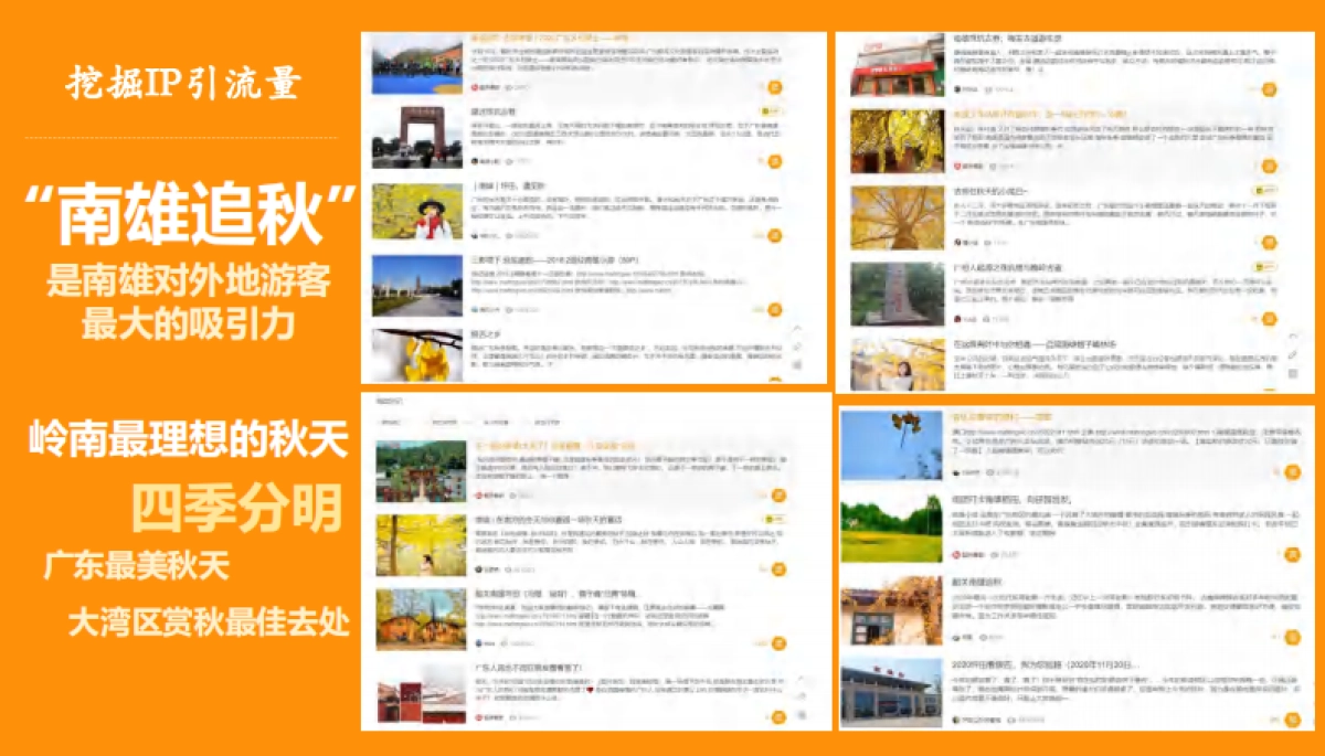 2024韶关南雄银杏主题森林公园总体设计概念规划方案_第7页