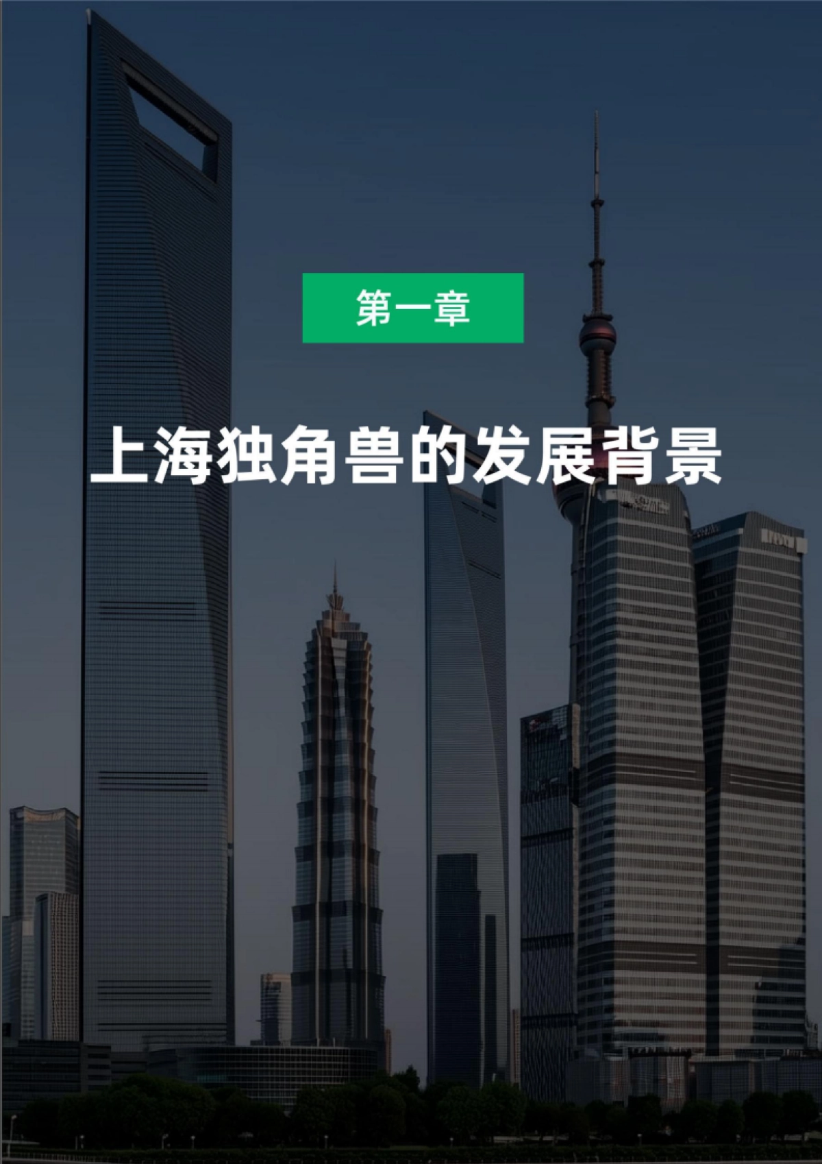 2024_2025年中国城市独角兽报告之上海_第5页