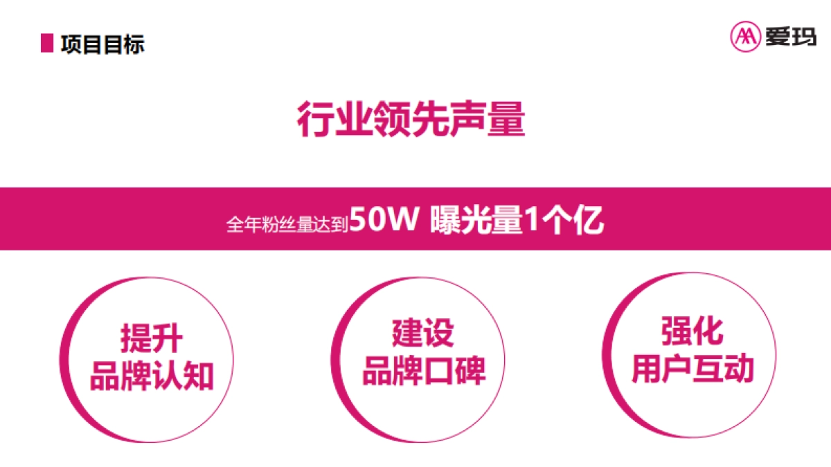 爱玛国际2024年度私域运营传播方案_第2页