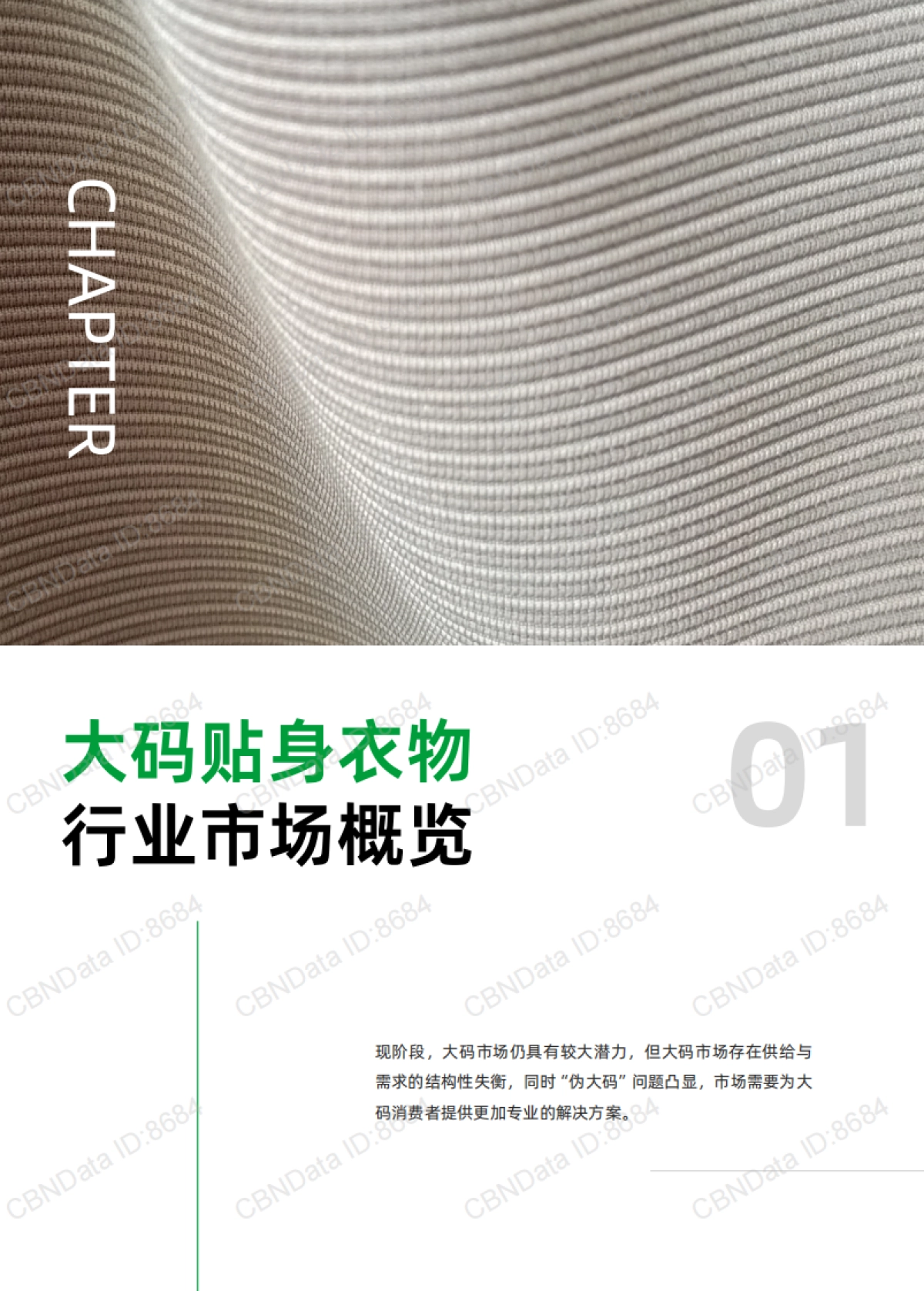 2025年大码贴身衣物趋势洞察白皮书-菇娘家&第一财经商业数据中心_第3页