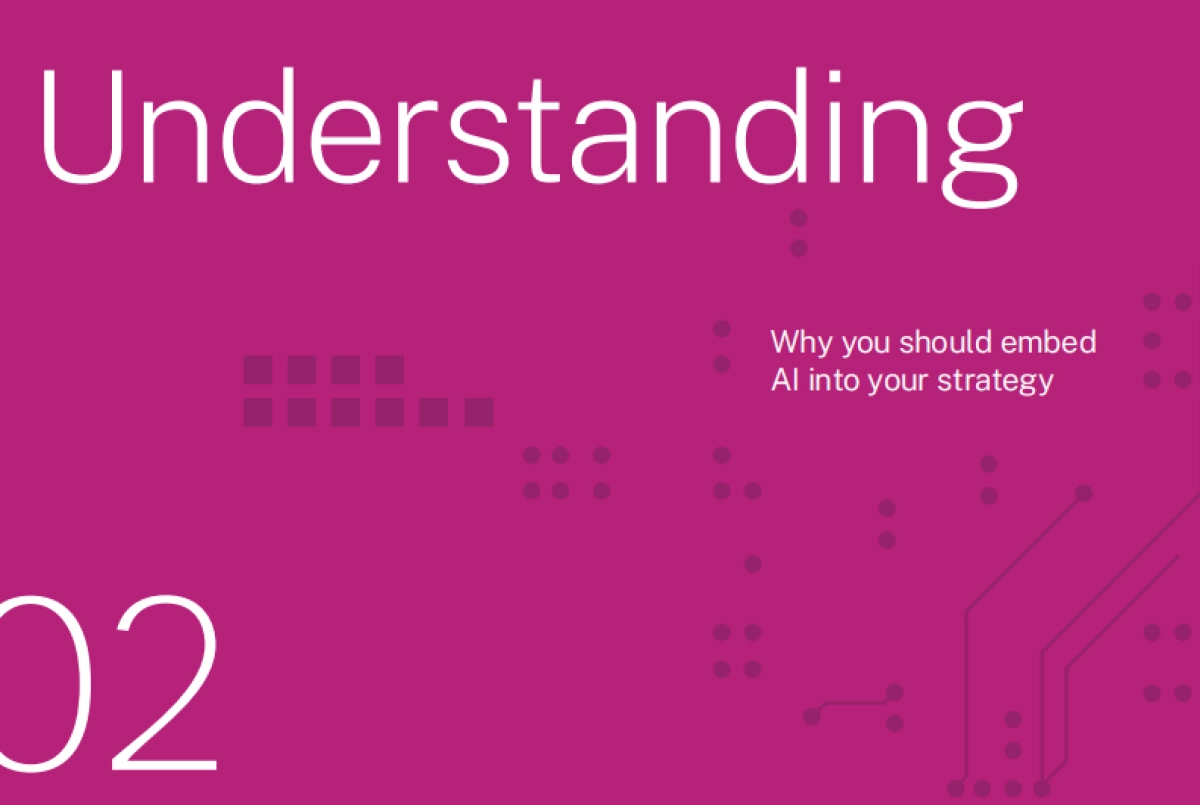 用AI取胜：从战略到执行的商业领导者行动手册_第6页