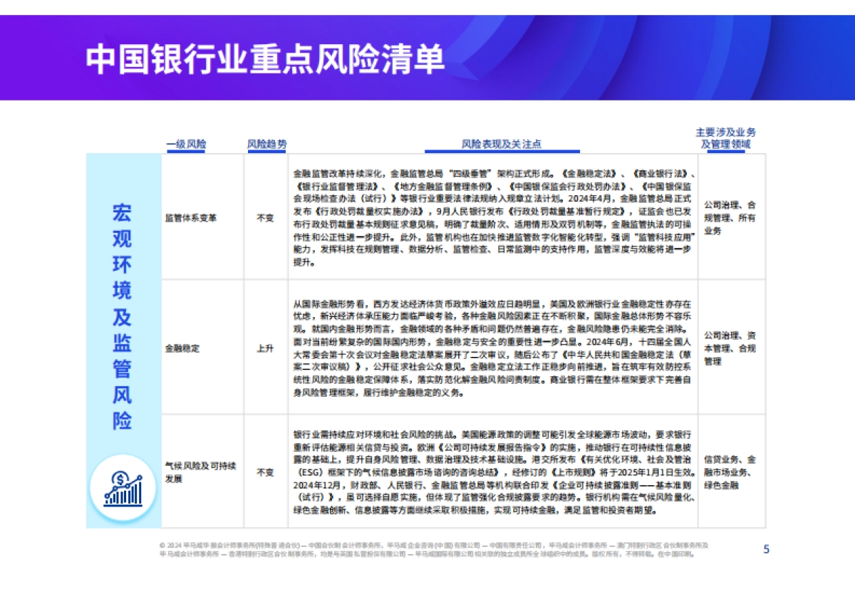 2025年中国银行业风险雷达图-毕马威_第5页