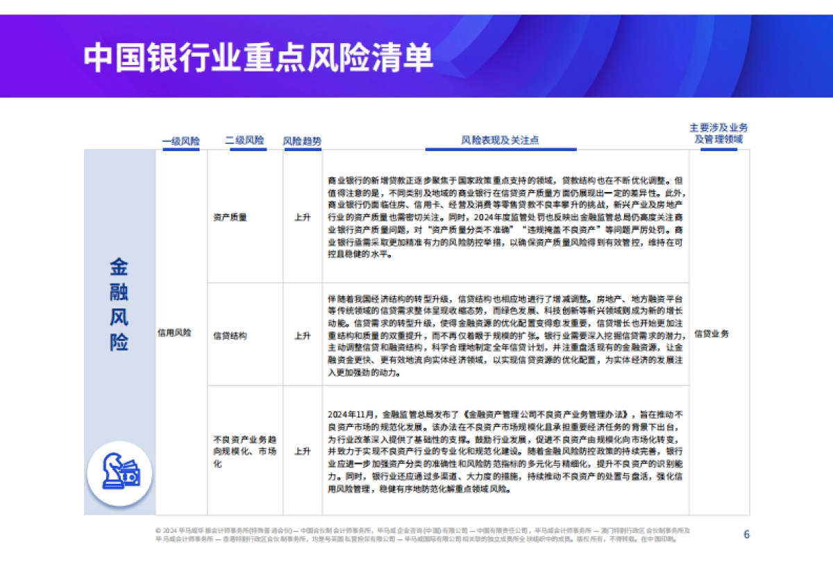 2025年中国银行业风险雷达图-毕马威_第6页