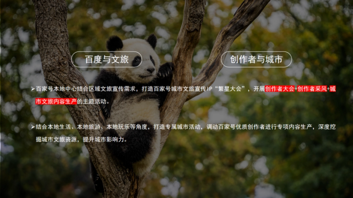 2025百家号“繁星大会·四川”达人内容营销大会_第5页