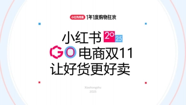 2025小红书电商双11-大服饰行业运营分享