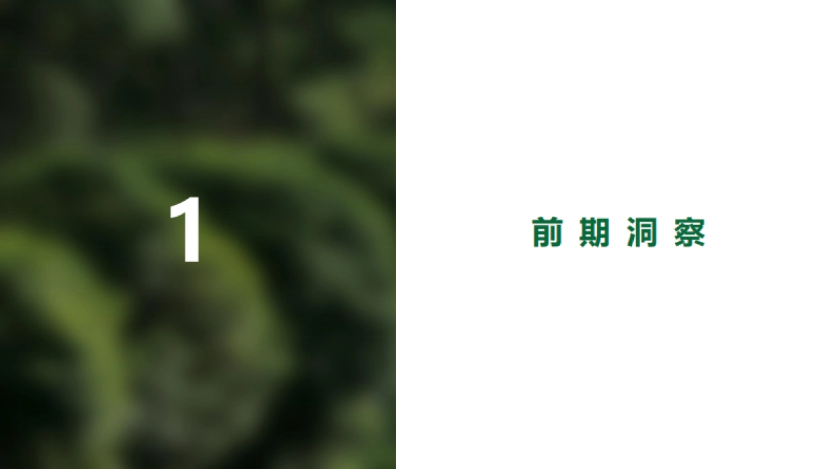 怡宝水饮抖音DP方案_第3页