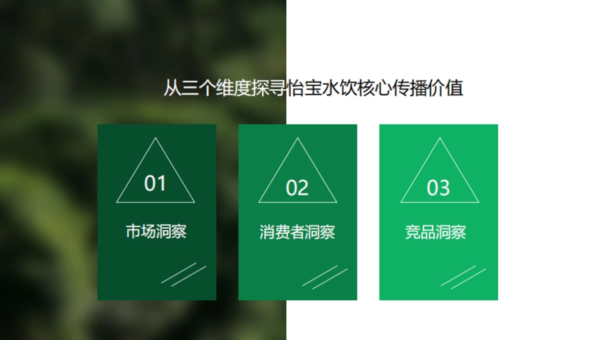 怡宝水饮抖音DP方案_第4页