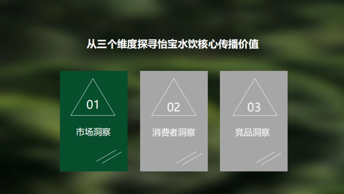 怡宝水饮抖音DP方案_第5页