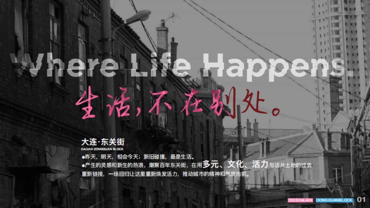 大连万科东关街商业文旅招商手册（非标）_第2页