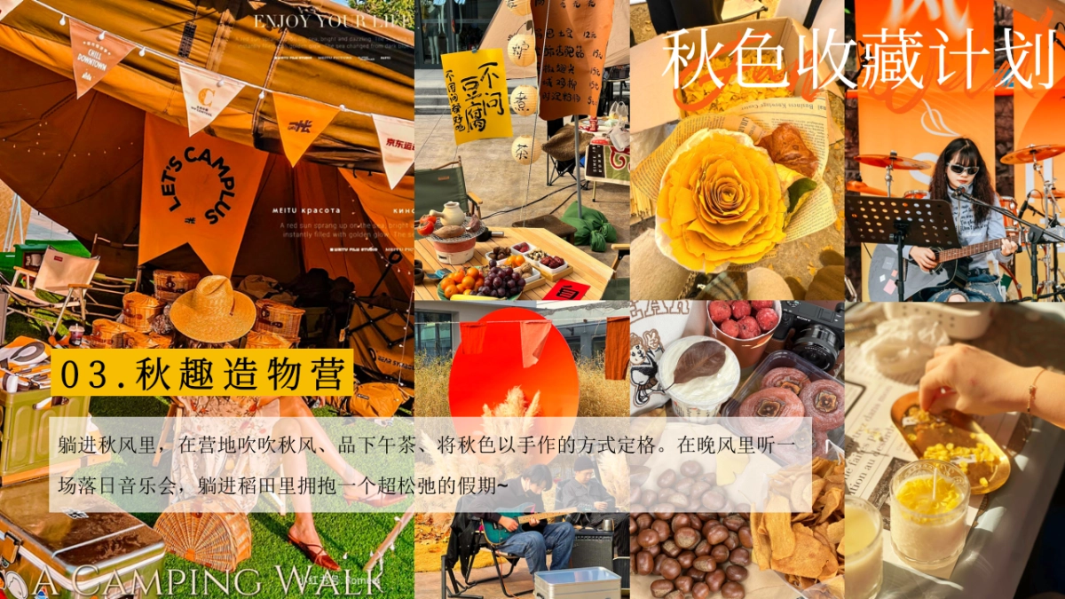 2025秋季秋色收藏计划秋日游园会主题活动方案_第10页