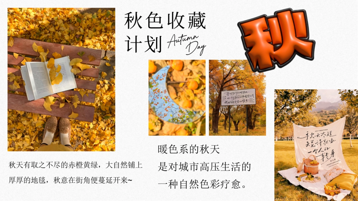 2025秋季秋色收藏计划秋日游园会主题活动方案_第3页